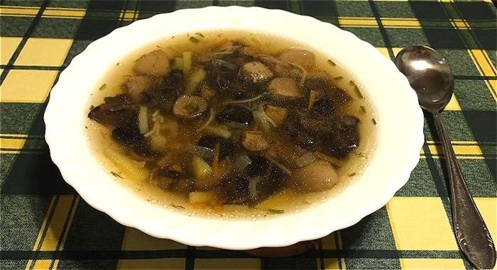 Суп из свежих грибов с плавленным сыром