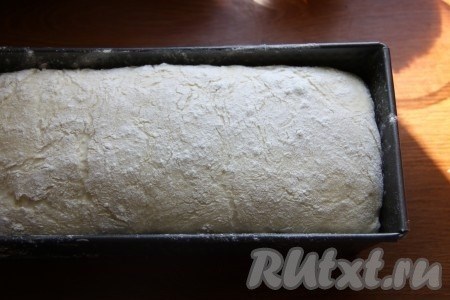 Как приготовить дрожжевое тесто на хлеб