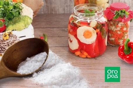 Ингредиенты для салата с огурцами и стручковой фасолью: